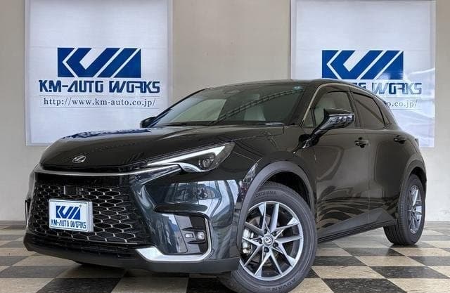 2026 LEXUS LBX
