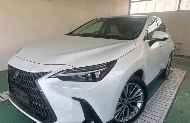 2025 LEXUS NX