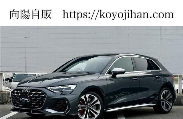 2025 AUDI S3