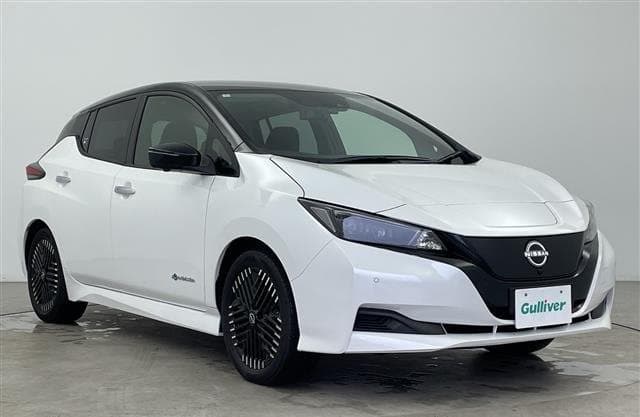 2024 NISSAN LEAF